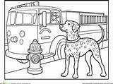 Dalmatian Prevention sketch template