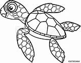 Hatchling Loggerhead Tortue Mer Beeldverhaal Leuke Kleurende Zeeschildpad Turtles Clipartmag Istockphoto Annime Ohbq sketch template