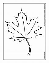 Leaf Autumn Coloring Maple Oil Pastels Drawing Printable Palm Kids Fall Pages Leaves Color Print Getcolorings Hub Clipartmag sketch template