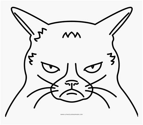 grumpy cat coloring page  grumpy cat coloring pages hd png