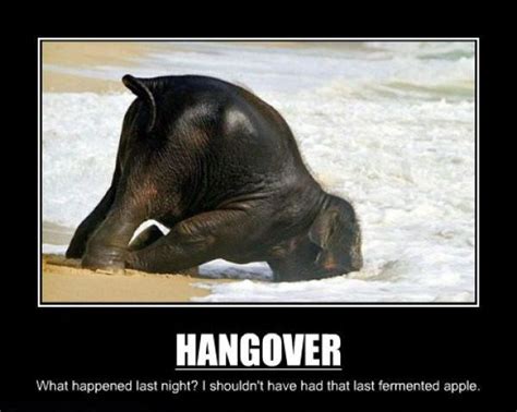 hangovers