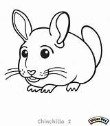 Chinchilla Coloring Pages Getdrawings Drawing sketch template