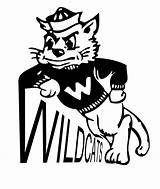 Wildcat Clipart Cartoon Willie Clipground Library sketch template