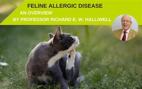 Feline Allergic Disease An Overview By Professor Richard E W