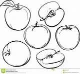 Apples Fruits Megapixl sketch template