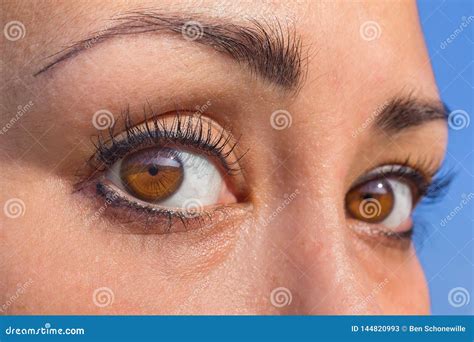 sluit omhoog twee amandel gekleurde ogen  vrouwelijk gezicht stock afbeelding image  kijk