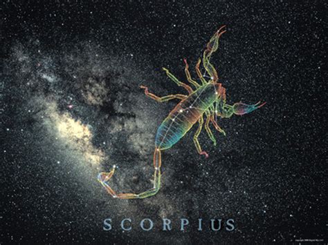 scorpius posterprint