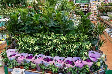 creative retail garden center display top  ideas