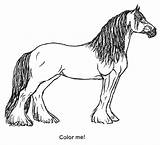Clydesdale Horse sketch template