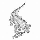 Crocodile Coloring Hand Adult Pages Zentangled Drawn Zentangle Stock Illustration Preview Drawing Doodle Ornamental Ethnic Mehndi Artistic Tattoo Style 123rf sketch template