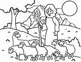Coloring Shepherd Sheep Pages Good Jesus Kids Shepherds Lost Am Australian Baby Clipart Printable Drawing Color Visit Sheeps Getcolorings Print sketch template
