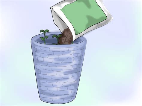 ways  grow potatoes   trash  wikihow