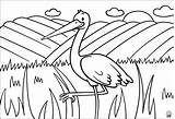 Amaxkids Stork Coloringpages Freebies sketch template