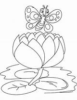 Lily Coloring Water Pad Pages Butterfly Big Kids Lilies Printable Getdrawings Getcolorings Color Drawing Colorings sketch template