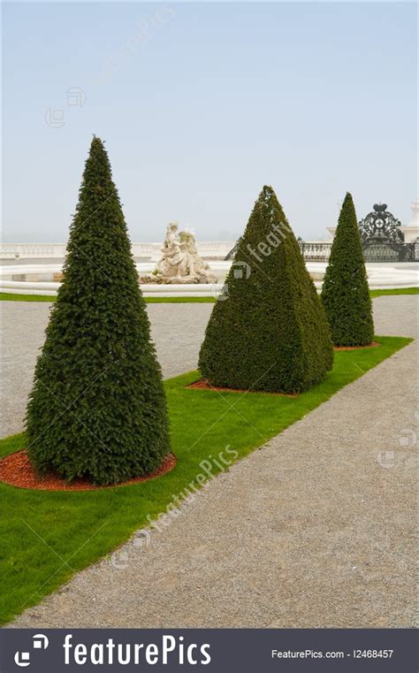 nature landscapes pyramid shaped trees stock picture i2468457 at featurepics
