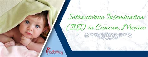 most affordable intrauterine insemination package in