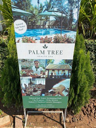palm tree health spa luang prabang