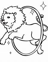 Circus Coloring Lion Pages Animal Getcolorings Printable Getdrawings sketch template