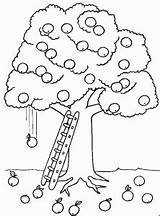 Coloring Trees Kids Tree Pages Printable Apple Funny sketch template