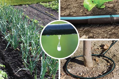 micro irrigation polk regional water cooperative