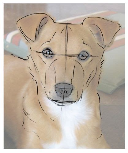 sketch  dogs head  south licensed  aboutcom  lippencildupes dog drawing