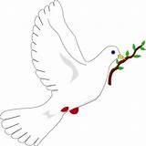 Dove Olive Branch Clipart Peace Library Transparent sketch template