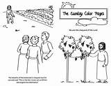 Sunday Ordinary Time 27th Coloring Pages Catholic sketch template