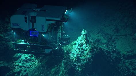 impacts  deep ocean mining    scientists warn