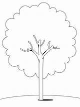 Baum Malvorlage sketch template