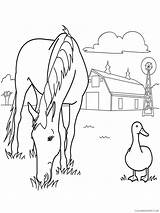 Coloring Pages Coloring4free Duck Horse Farm Animal Related Posts sketch template