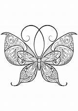 Papillon Insetti Colorear Butterfly Adulti Insectos Farfalle Insects Insectes Butterflies Stampare Jolis Joli Disegno Superbes Papillons Mariposas Animali Justcolor sketch template