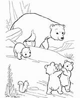 Coloring Bear Pages Printable Kids Bears sketch template