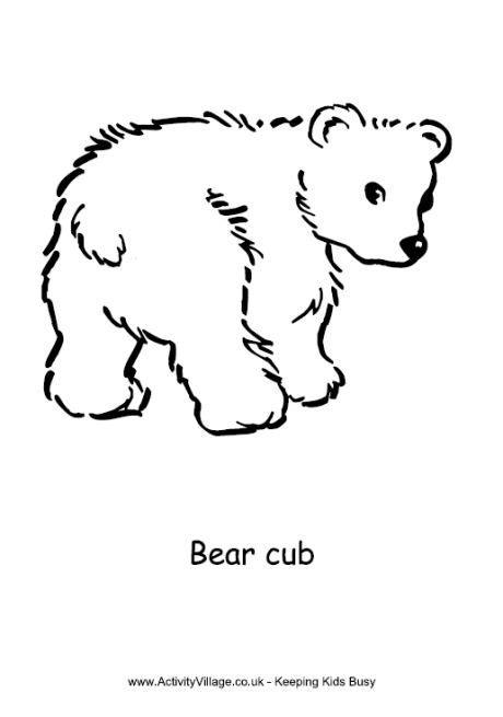 bild galeria coloring page bear cub