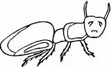 Ant Coloring Pages Kids Printable Ants Insects Cliparts Clipart Popular Clipartmag Drawing Library Coloringhome Insect Book sketch template