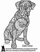 Coloriage Mandala Colorier Chiens Theblissfuldog Designlooter Carlins Teckel Terriers Livre Divyajanani sketch template