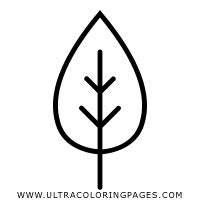 leaf coloring page ultra coloring pages