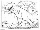 Dinosaur Coloring Pages Kids Printable Rex Color Dinosaurs Print Drawing Trex Colouring Sheets Carnotaurus Triceratops Boys Cartoon Bestcoloringpagesforkids Getdrawings Raptor sketch template