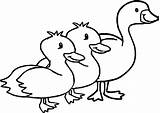 Coloring Goose Duck Pages Goosebumps Animal Printable Drawing Flying Wecoloringpage Canada Slappy Seagull Getcolorings Horrorland Getdrawings Nice Animals Little Colorings sketch template