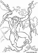 Tarzan Imprimer Desenhos Kolorowanki Colorir Skgaleana Dessins Druku sketch template