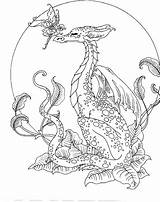 Coloring Dragon Pages Mystical Fairy Fairies Dragons Amy Brown Fantasy Color Adult Bearded Cute Printable Book Hard Mythical Adults Print sketch template