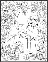 Coloring Stress Beagle Instantly Erwachsene Iheartdogs Downloadable Hunde Kostenlos Mindfulness Mandalas Haustiere Gemerkt Malvorlagen sketch template