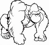Gorilla Drawing Coloring Pages Easy Face Ape Cute Angry Silverback Kids Printable Jordan Ottoman Painting Color Paintingvalley Getdrawings Clipart Sheet sketch template