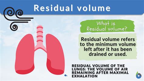 residual volume definition  examples biology  dictionary