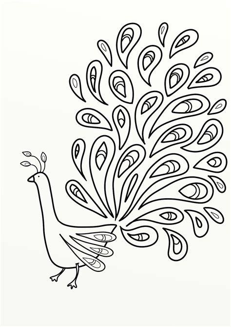 images  peacock feather coloring pages printables peacock