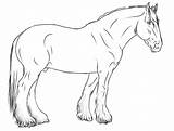 Lineart Pferde Shire Tinker Clydesdale Warmblood sketch template