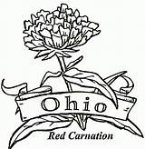 Ohio Coloring State Pages Brutus Buckeye Drawing Band Flower Carnation Football Buckeyes Michigan Bow Pennsylvania Mistletoe Majorette Mariachi Christmas Color sketch template
