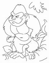Gorilla Magilla Grodd Ausmalbild sketch template