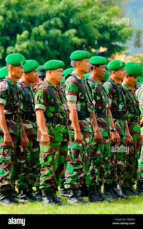 members  indonesian military armed forces army stand  ranks stock photo alamy