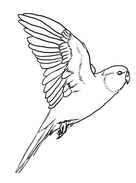 coloring page bird flying  svg cut file