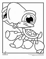 Turtle Cartoon Coloring Pages Library Clipart Littlest Pet Sample Shop sketch template